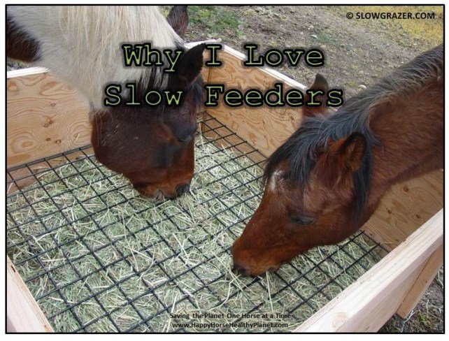 Happy Horse Healthy Planet.Slow_Feeders_Blog